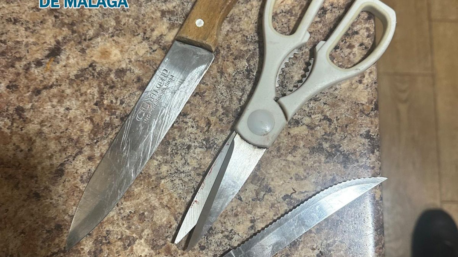 Detenido un individuo por presuntas lesiones, amenazas y agresión sexual en grado tentativa a su compañera de piso