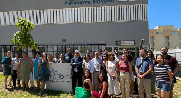 Investigadores de IBIMA lideran un consenso sobre Diagnóstico y Manejo de la hepatitis tóxica con manifestaciones autoinmunes 