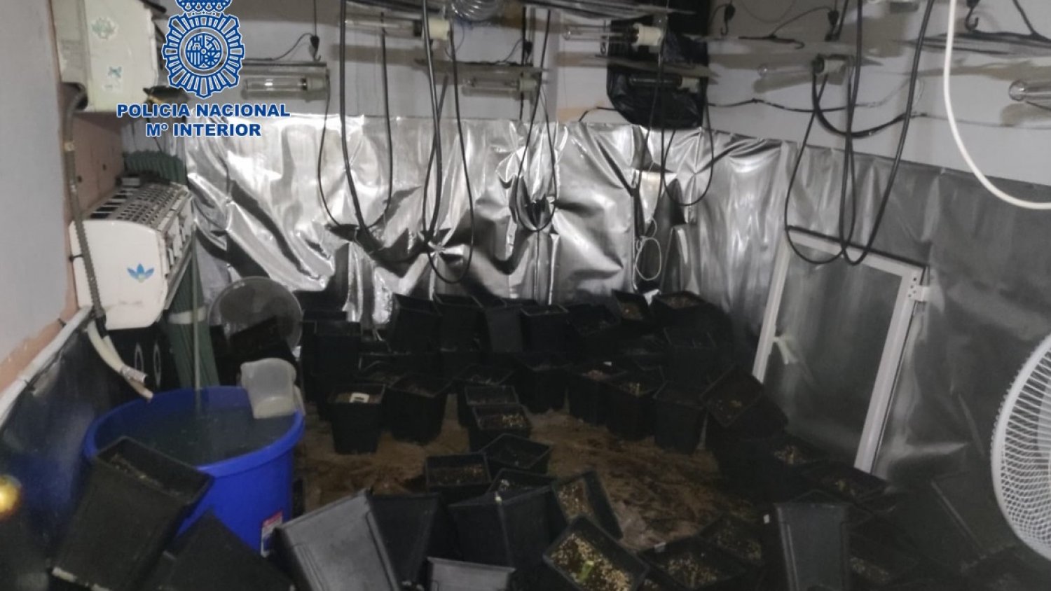 Detenidas seis personas implicadas en delitos contra el patrimonio, tráfico de drogas y defraudación de fluido eléctrico