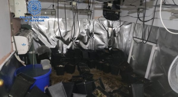 Detenidas seis personas implicadas en delitos contra el patrimonio, tráfico de drogas y defraudación de fluido eléctrico
