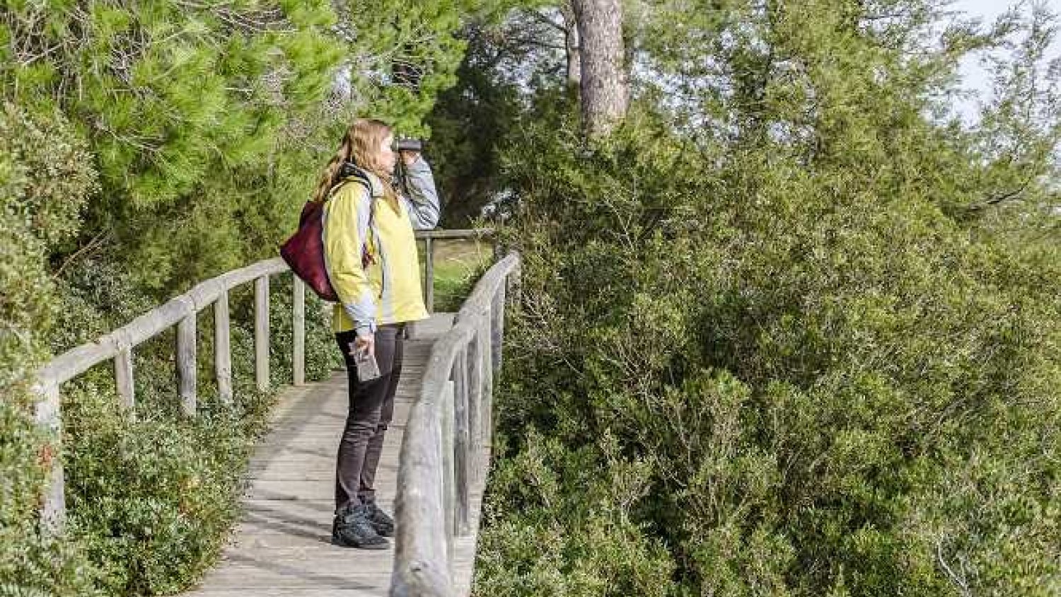 Andalucía patrocina Global Birdfair 2023 para posicionarse como destino preferente en turismo ornitológico