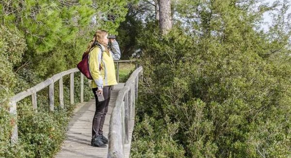 Andalucía patrocina Global Birdfair 2023 para posicionarse como destino preferente en turismo ornitológico