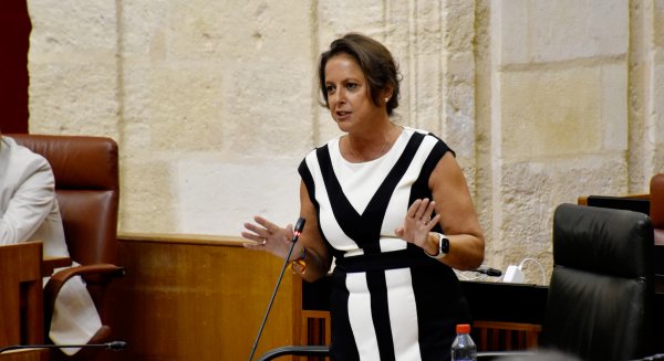 Catalina García afirma que la cesión del Hospital Pascual paliará el déficit de camas en Málaga