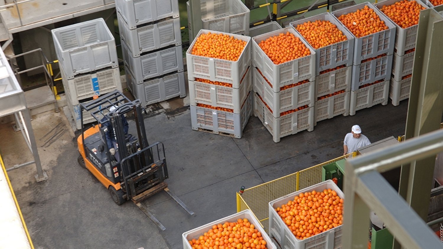 Abierto el plazo para las ayudas a organizaciones de productores de frutas y hortalizas