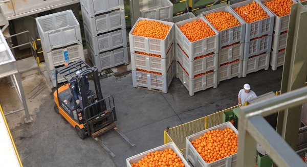 Abierto el plazo para las ayudas a organizaciones de productores de frutas y hortalizas