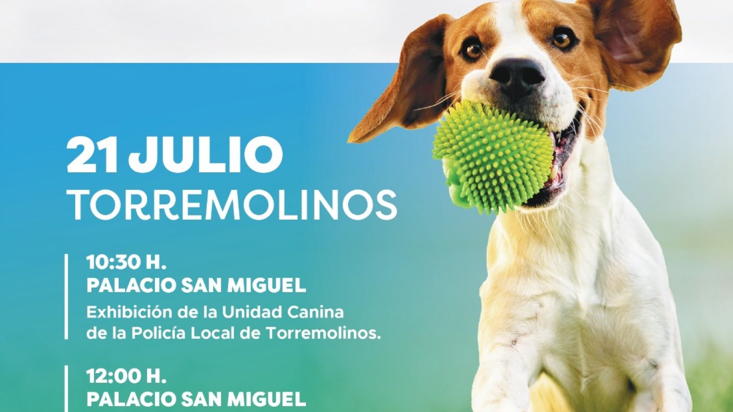 Torremolinos conmemora el `Día Mundial del Perro´ con una exhibición canina y un concurso de dibujo