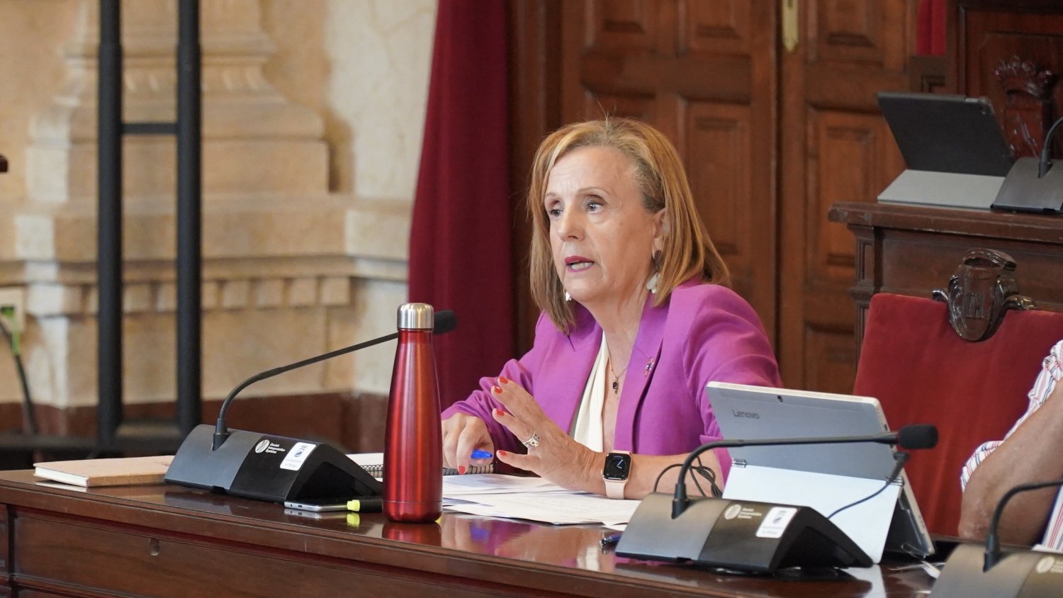 PSOE arranca al Ayuntamiento su compromiso para combatir con eficacia las plagas de ratas y cucarachas en la ciudad