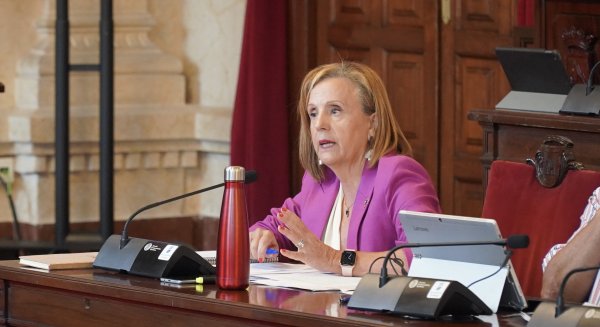 PSOE arranca al Ayuntamiento su compromiso para combatir con eficacia las plagas de ratas y cucarachas en la ciudad