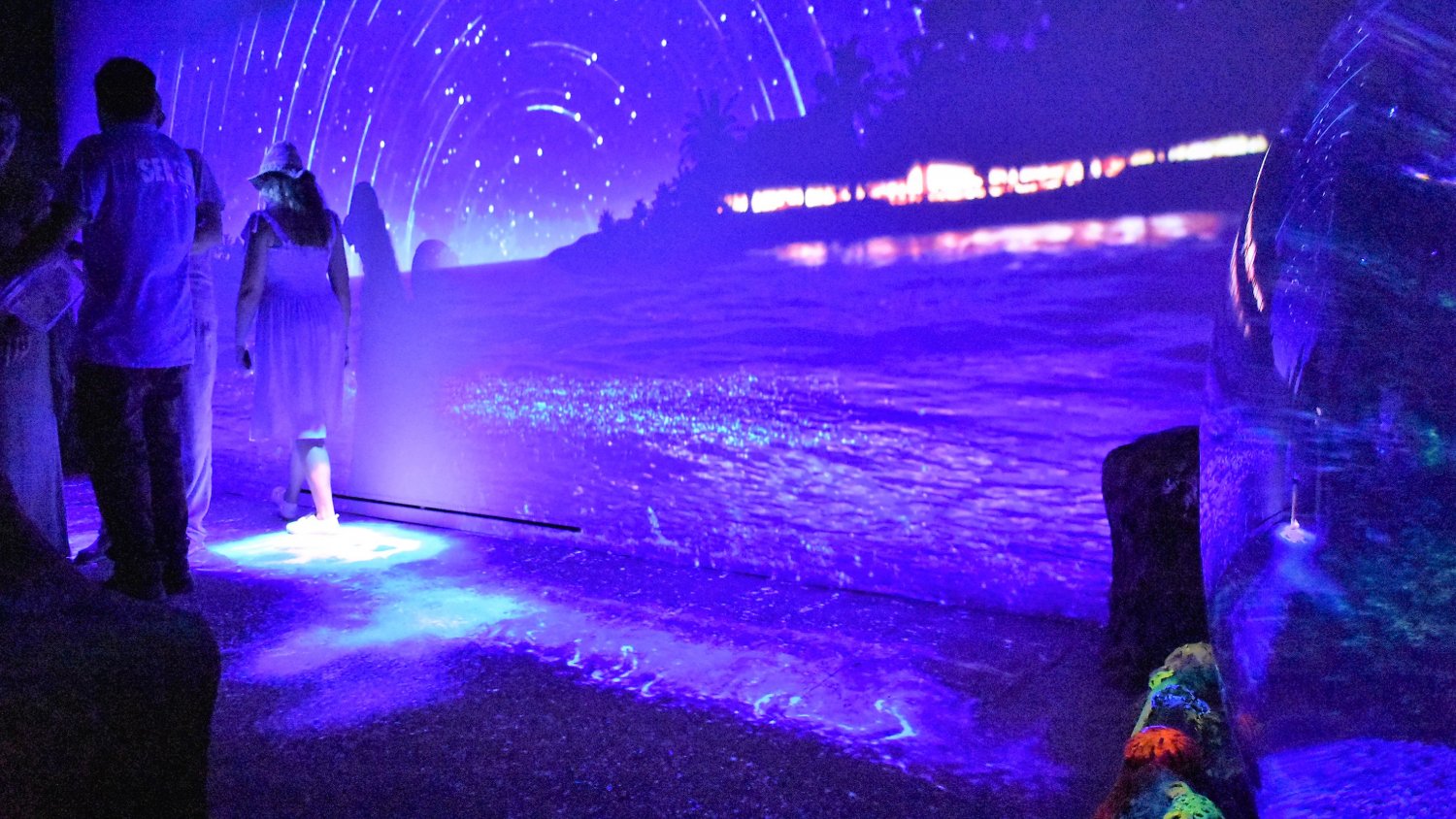 'Noche en el mar', una experiencia bioluminiscente única en España
