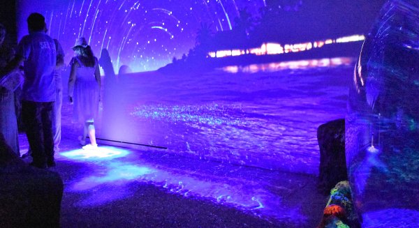 'Noche en el mar', una experiencia bioluminiscente única en España