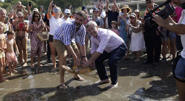 La Junta devuelve al mar otra tortuga boba recuperada, la décima en este año