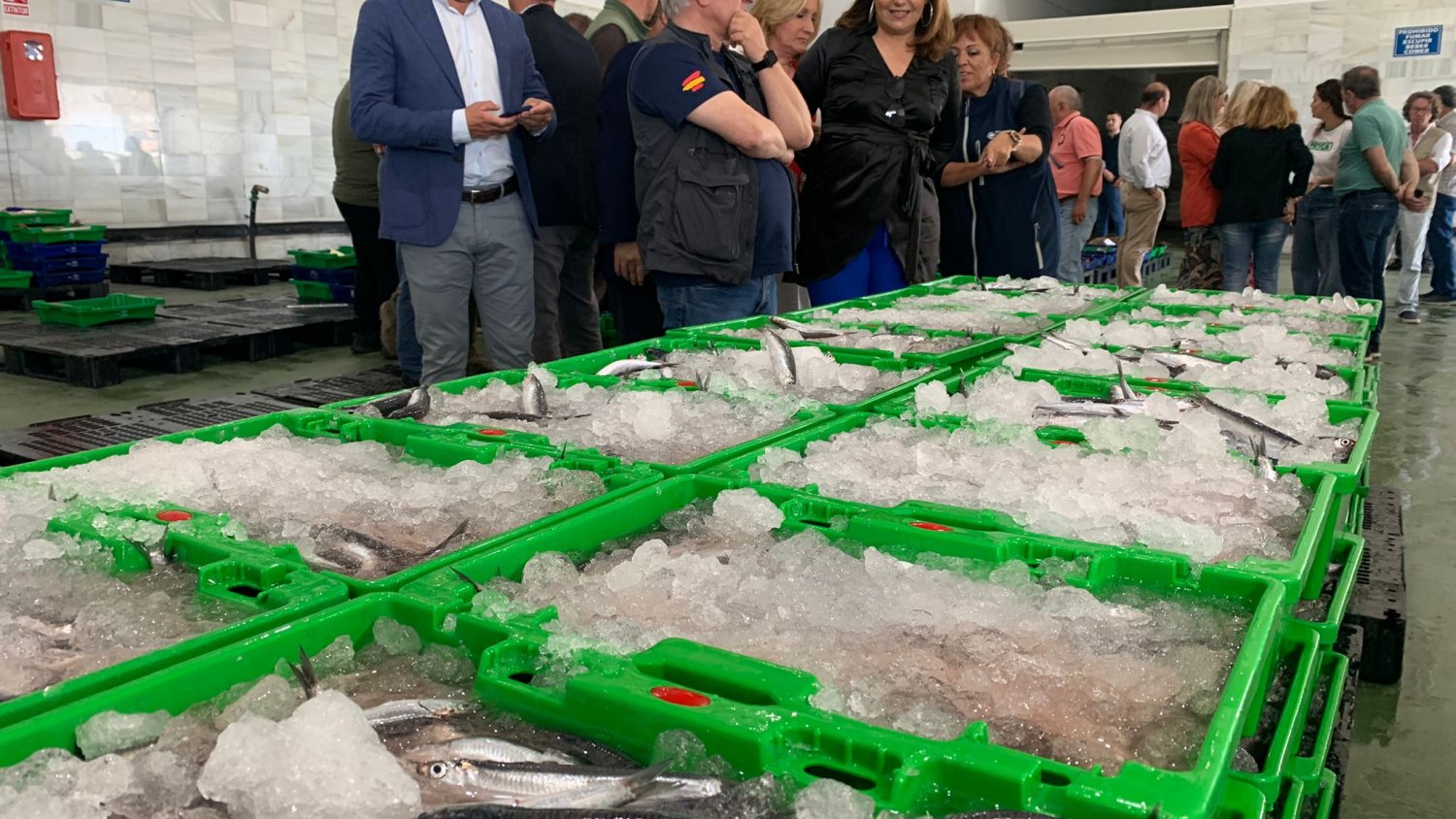 Crespo pide al Ministerio estudiar la posibilidad de habilitar ayudas del Fempa  para los barcos que han agotado la línea de paradas temporales