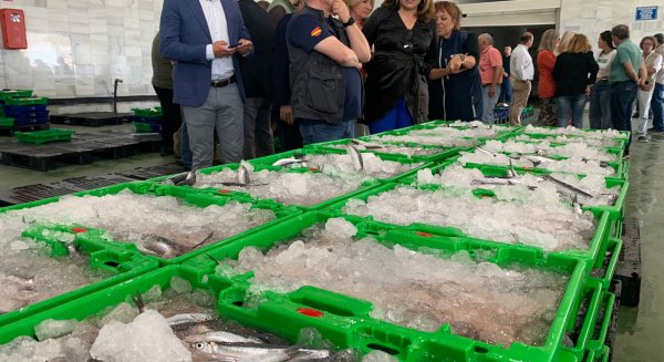Crespo pide al Ministerio estudiar la posibilidad de habilitar ayudas del Fempa  para los barcos que han agotado la línea de paradas temporales