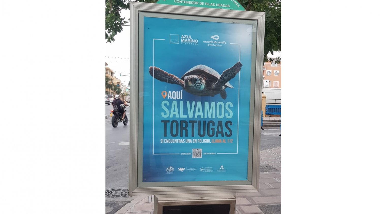 El Ayuntamiento de Rincón de la Victoria se une a la campaña de concienciación `Aquí salvamos tortugas´