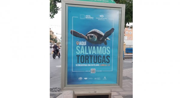 El Ayuntamiento de Rincón de la Victoria se une a la campaña de concienciación `Aquí salvamos tortugas´