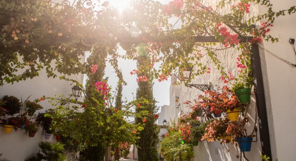 Estepona, elegida por la organización internacional The Academy of Urbanism como finalista a ‘Ciudad Europea del Año 2023’
