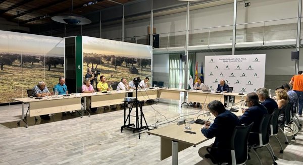 Andalucía estudia habilitar ayudas para los afectados por el fin del acuerdo con Marruecos
