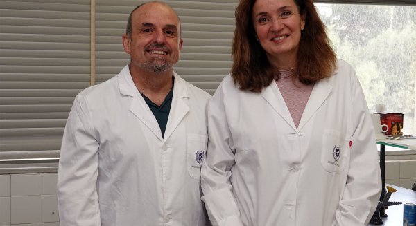 UMA.- Dermatólogos relacionan lo niveles de vitamina D en la piel con la temperatura ambiental y corporal