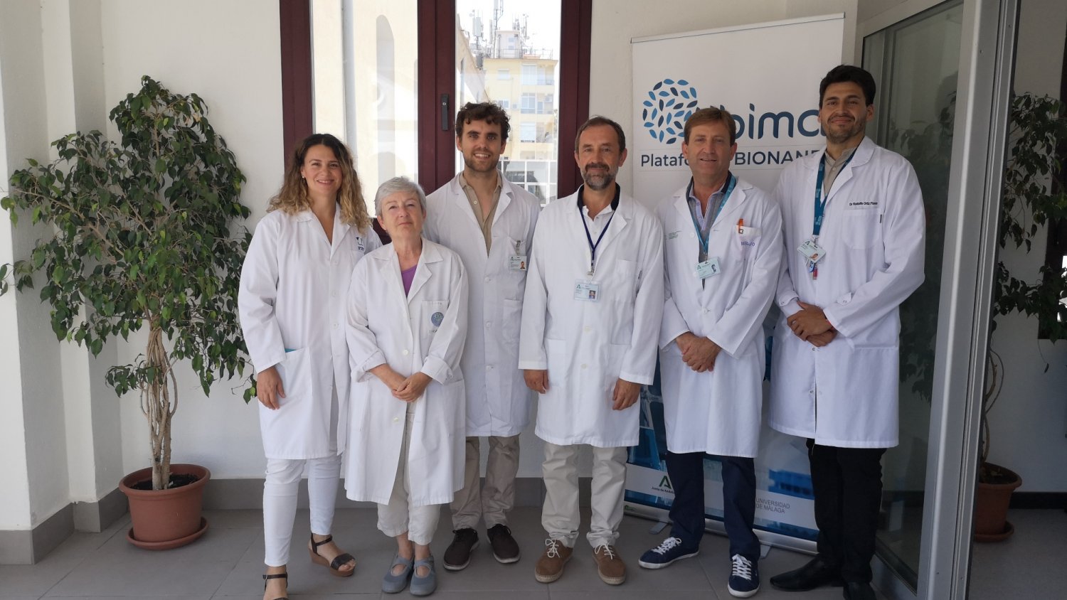 El aceite de Oliva Virgen Extra mejora la salud en personas con obesidad y prediabetes, según un estudio liderado por IBIMA 