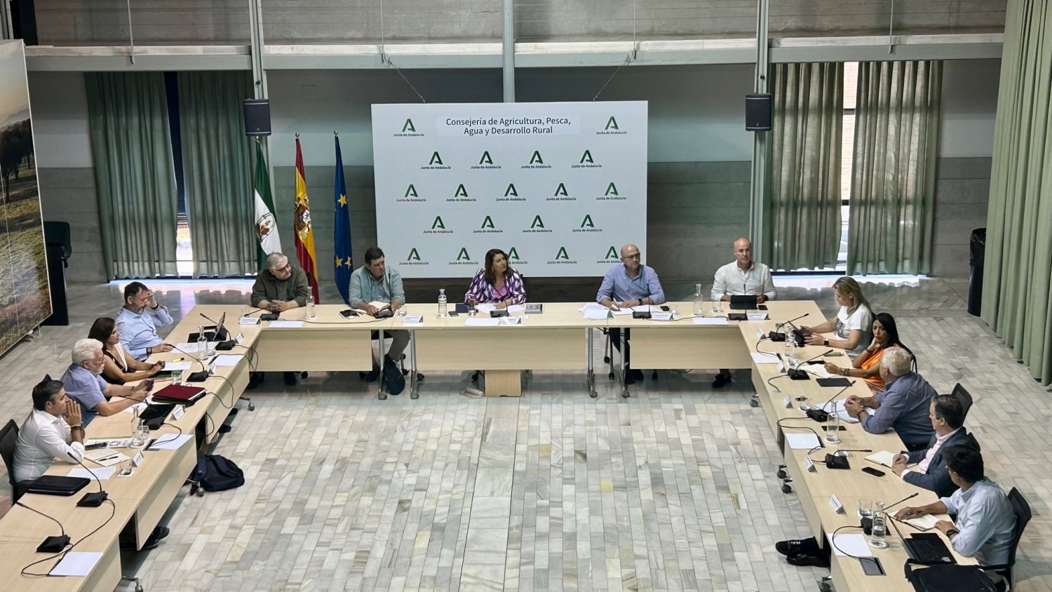 Andalucía insiste en pedir al Gobierno de España que la Reserva de Crisis se destine al olivar