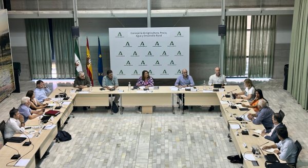Andalucía insiste en pedir al Gobierno de España que la Reserva de Crisis se destine al olivar