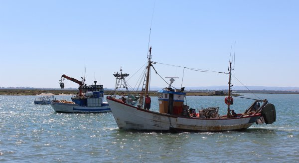 Andalucía convoca nuevas ayudas por la paralización temporal de la actividad pesquera