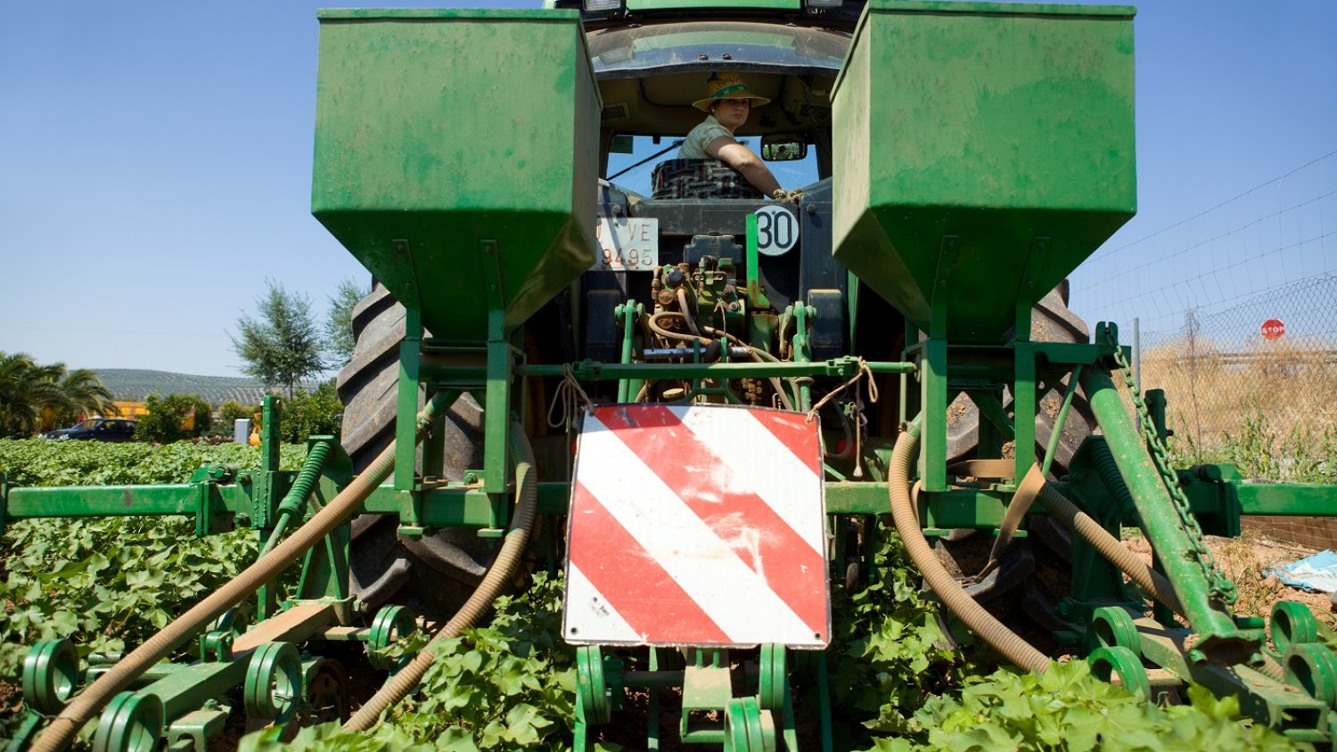 Andalucía destina en una sola convocatoria 91M€ a la incorporación al campo de nuevos productores 