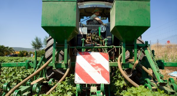 Andalucía destina en una sola convocatoria 91M€ a la incorporación al campo de nuevos productores 
