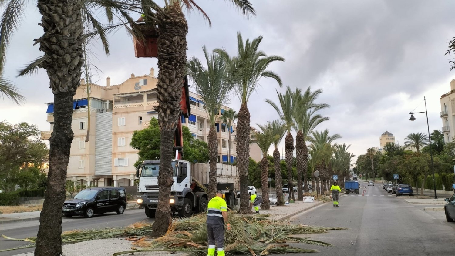 La delegación de Servicios Operativos y Parques y Jardines acomete más de 1.500 actuaciones entre junio y agosto
