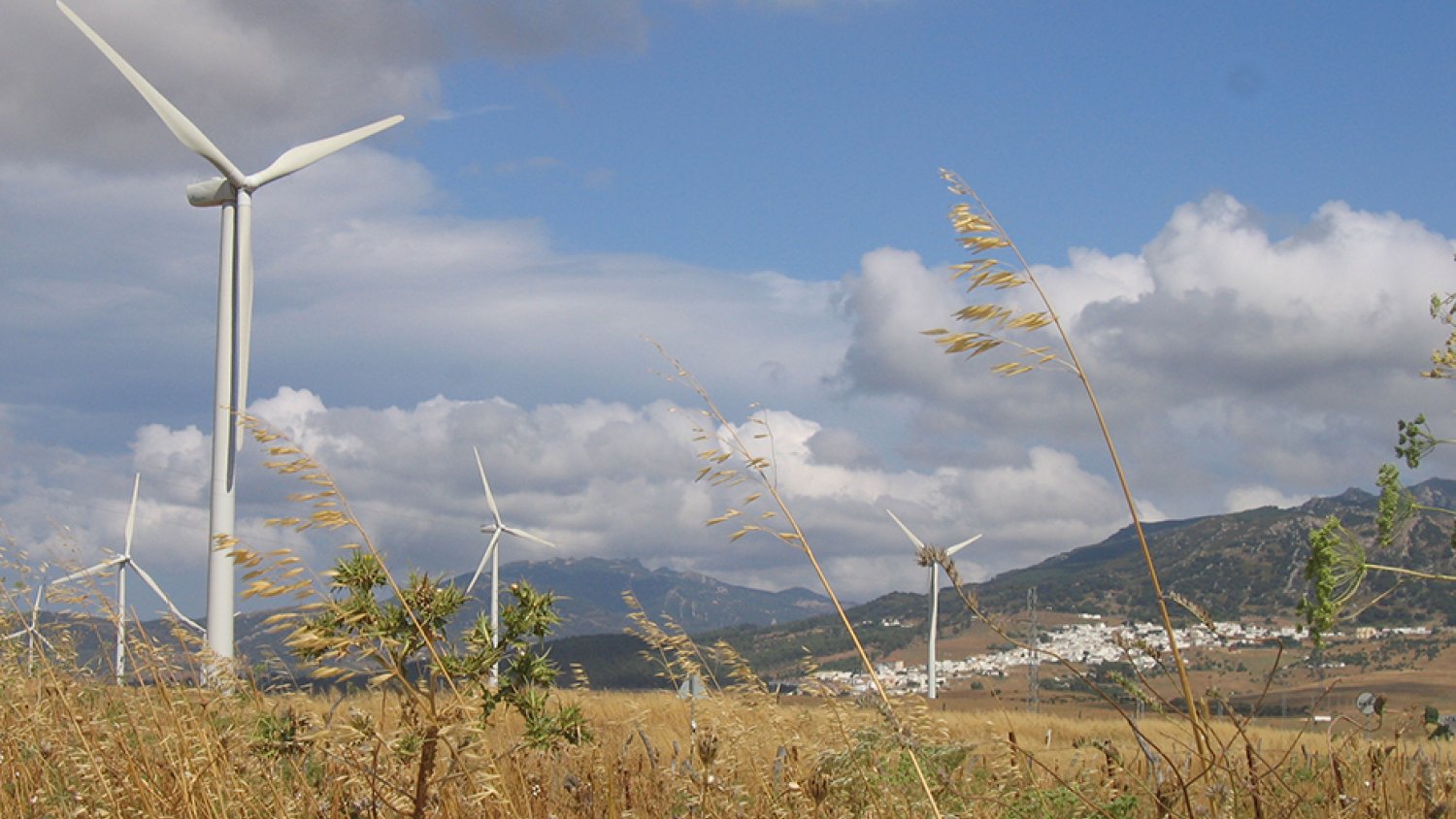La Junta suscribe un acuerdo con Endesa para integrar la agricultura y las energías renovables