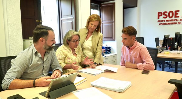 PSOE registra una comparecencia para saber cuántos impuestos más 'va a subir De la Torre' en esta legislatura
