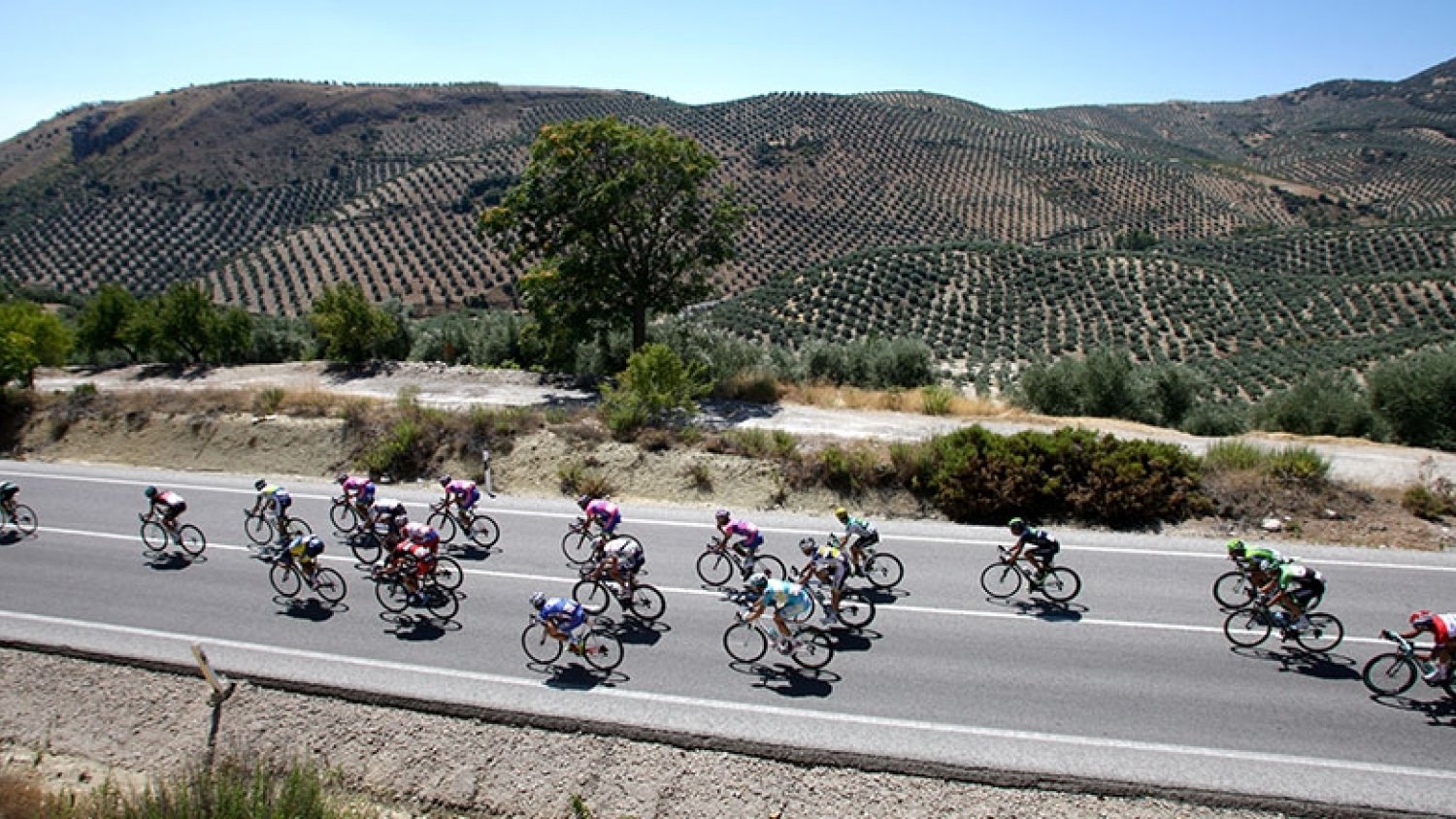 La Junta promocionará Andalucía como destino durante la Vuelta Ciclista a España