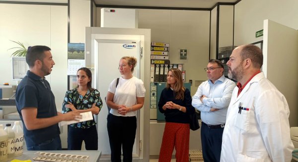 Andalucía TRADE acerca la industria agroalimentaria a una delegación de empresas noruegas 