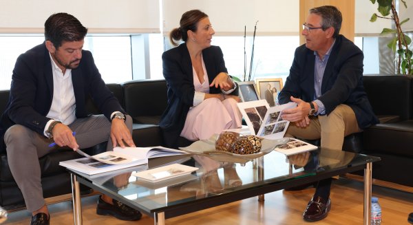 La Diputación financiará el 50% de la pasarela para recorrer el Tajo de Ronda