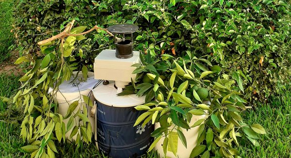 Salud instala trampas con sensores de Inteligencia Artificial para detectar mosquitos transmisores de enfermedades