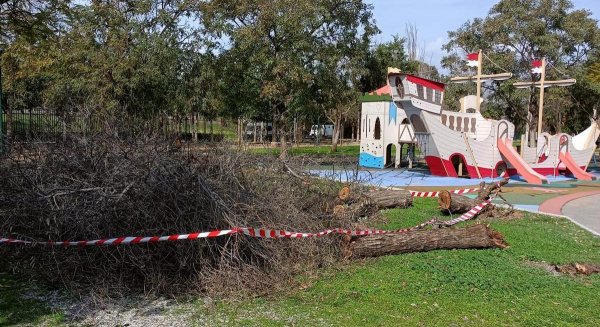 El Ayuntamiento de Málaga cerrará los parques ante el aviso de fuertes rachas de viento