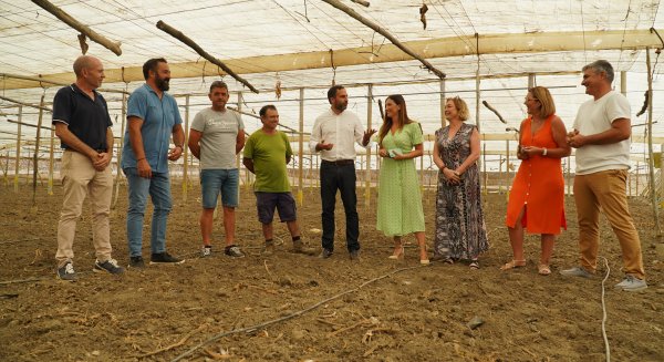 PSOE critica que Moreno Bonilla no dé una respuesta rápida a los agricultores de la Axarquía
