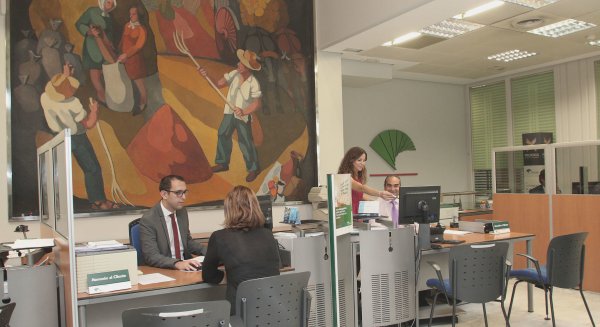 Unicaja Banco lanza una nueva campaña de financiación exclusiva para el sector olivar