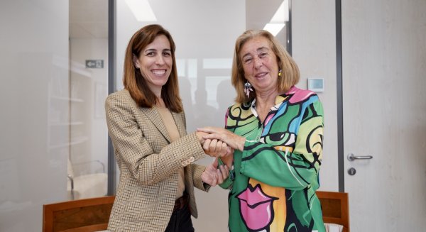 Málaga concede 60.000€ a la sociedad protectora para la recogida y atención de animales abandonados o maltratados 