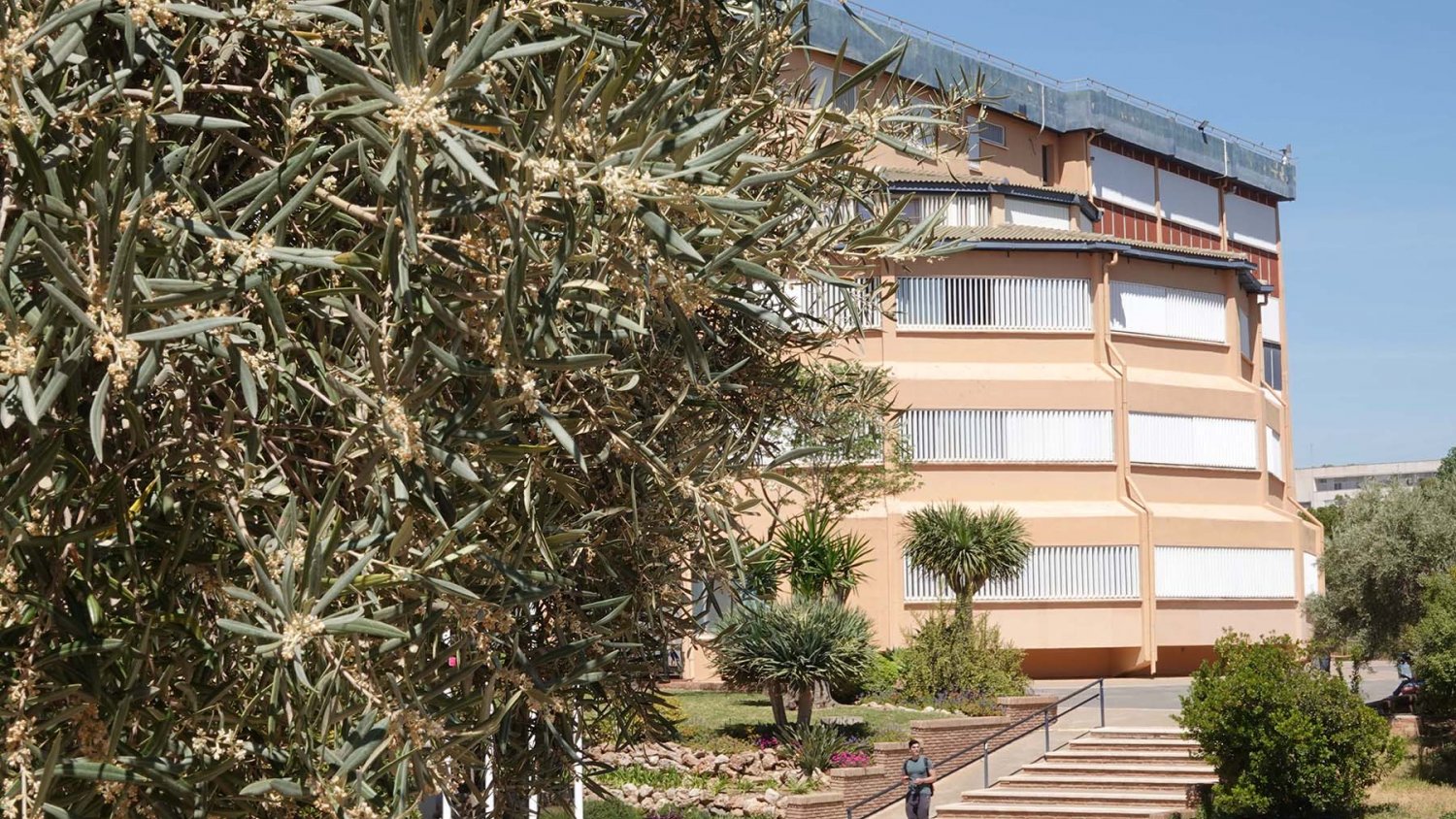La Universidad de Málaga suma dos nuevos institutos universitarios de investigación 