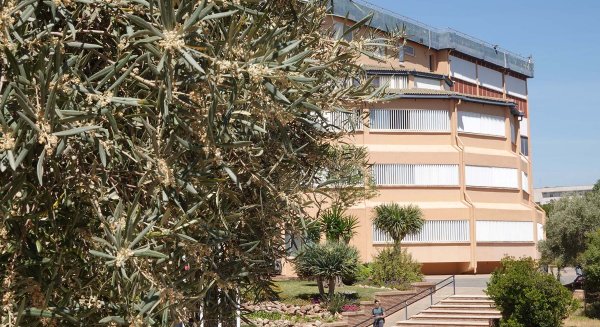 La Universidad de Málaga suma dos nuevos institutos universitarios de investigación 