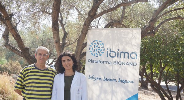 Un estudio revela que el aceite de oliva virgen extra podría inhibir la angiogénesis y el cáncer