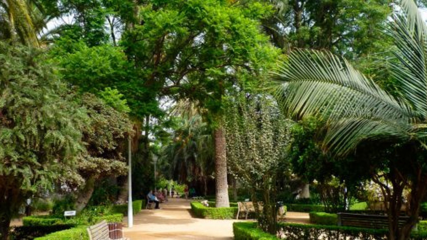 La Asociación de la Jardinería Andaluza premia a Málaga por la mejora de las zonas verdes de la ciudad