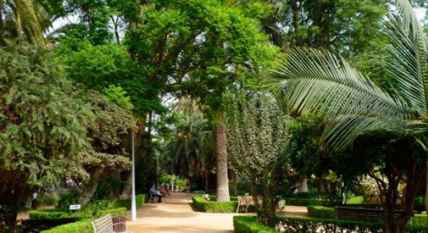 La Asociación de la Jardinería Andaluza premia a Málaga por la mejora de las zonas verdes de la ciudad