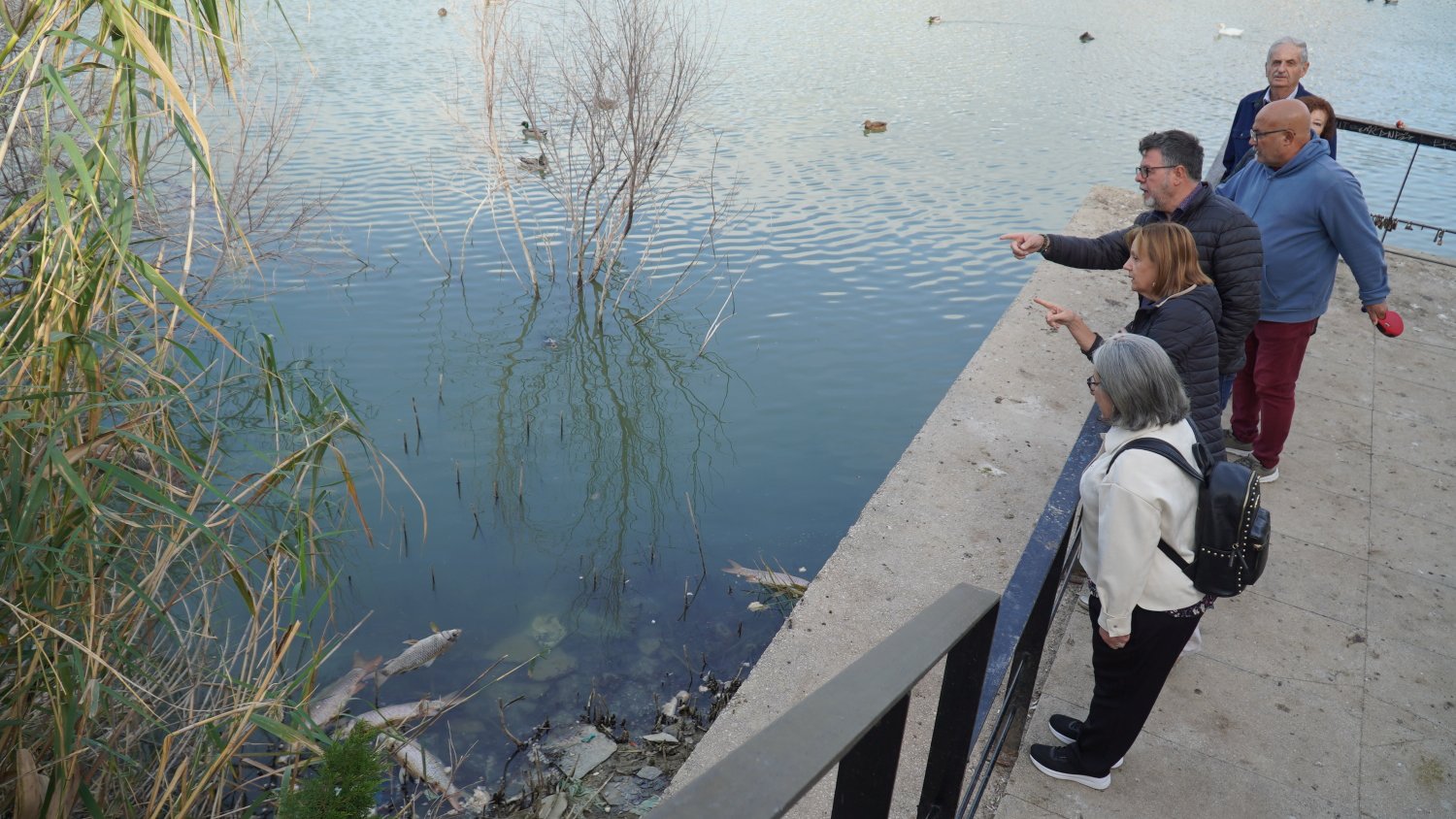 PSOE-Málaga insta al Ayuntamiento a investigar la muerte de docenas de peces en la Laguna de la Barrera de Teatinos
