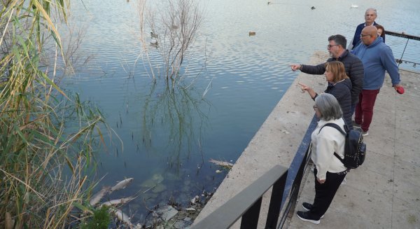 PSOE-Málaga insta al Ayuntamiento a investigar la muerte de docenas de peces en la Laguna de la Barrera de Teatinos