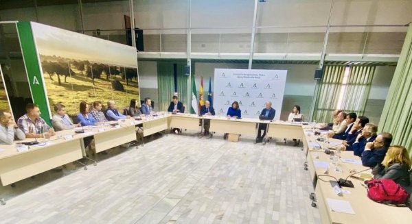 Piden al Gobierno informes actualizados de cara a la aprobación de las TAC y cuotas pesqueras de la UE