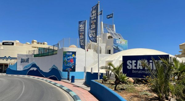 Sea Life Benalmádena y Planeta Explora presentan el programa 'Cuido mi mar' a la comunidad educativa