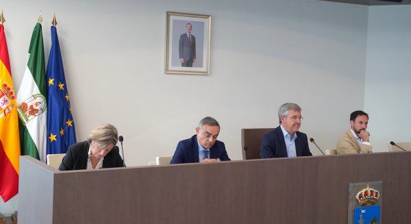 El Pleno de Estepona aprueba de forma definitiva el presupuesto para 2024 con 116 millones de euros 