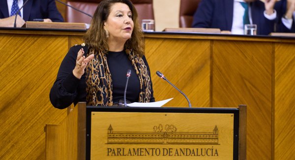 La Junta reclama al Estado una férrea defensa ante el reglamento de fitosanitarios que debate la UE